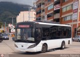 Trolmerida - Tromerca P-02, por Andrs Figuera