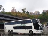 Expresos Flamingo 0079, por Bus Land