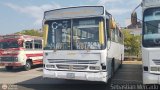 ZU - Servitranzulca 01, por Sebastin Mercado