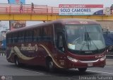 Empresa de Transporte Per Bus S.A. 355