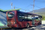 Trolmerida - Tromerca 5226, por Andrs Figuera
