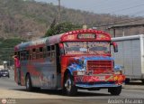 Expresos Gige 19 Blue Bird Convencional No Integral International S-Series Schoolmaster