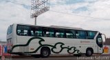 Particular o Transporte de Personal 961 Xiamen Golden Dragon XML6118 Desconocido NPI