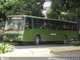 Metrobus Caracas 815