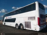 Expresos Occidente 128
