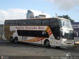 Aguila Dorada Bis 075