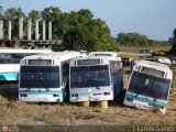 En Chiveras Abandonados Recuperacin 30