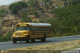 CA - TransDrcula 199 Blue Bird Convencional No Integral International 3600