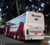 Transporte Bonanza 0034