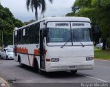 TA - Autobuses de Pueblo Nuevo C.A.