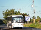 Colectivos Sol de Oriente 122