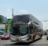 Transportes GM Internacional (Per) 403