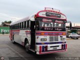 Expresos La Gran Colombia 17