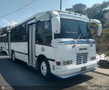 A.C. Don Augusto Malave Villalba 016