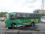 A.C. Unin Palo Negro (U.P.N.) 010
