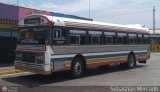 Colectivo San Rafael 09 Encava Culebra Ciega Encava Cummins Grande