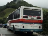 Lnea Tilca - Transporte Inter-Larense C.A. 19