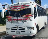 A.C. de Transporte Nmero Uno R.L. 026
