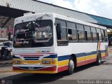 Colectivo San Rafael (El Moj�n) 16, por Sebasti�n Mercado