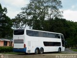 Turismos 2081
