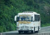 Transporte Virgen del Carmen 40, por Pablo Acevedo