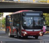 Bus CCS 999, por Waldir Mata