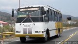 Lnea Los Andes S.C. 079, por Leonardo Saturno