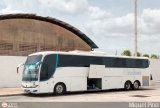Expresos Occidente 312