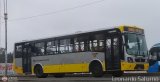 Per Bus Internacional - Corredor Amarillo 2029