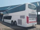 Expresos Flamingo 0088