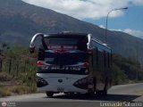 Colectivo Los Andes (Mrida - El Vigia) 03