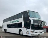 Expresos Flamingo 0141