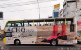 Turismos Higer 001 Artesanal o Desconocido Artesanal Peruano Higer Bus KLQ6896 (Cummins 230HP)