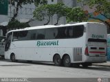 Transporte Bucaral 12, por @AlfredobusOFC