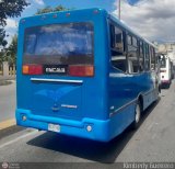 U.C. Serrano Pinto 11