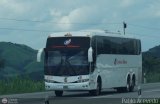 Expresos Alianza 073