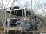 DC - Autobuses de El Manicomio C.A 10, por Alejandro Curvelo