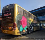 Cetur S.R.L. 961