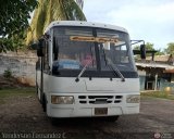 A.C. Transporte Paez 012, por Yenderson Fernndez C. 