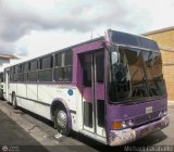 Organizacin Guaicamacuto 634