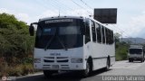 Lnea Los Andes S.C. 041