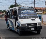 ZU - Colectivo Pomona 25, por Sebastin Mercado