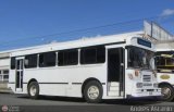 Autobuses de Tinaquillo 14, por Andrs Ascanio