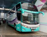 Tours Angel Divino S.A.C. (Per) 245