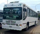 Colectivos La Rosita 011, por El Niobs