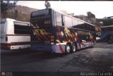 Expresos Alianza 603