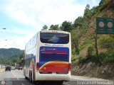 Expresos Occidente 226