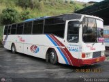 Expresos Alianza 308