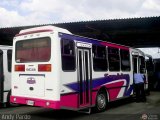 A.C. Transporte Independencia 039, por Andy Pardo