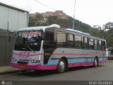Particular 999, por Alvin Rondon
